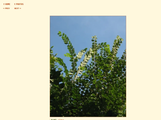 photos/260824170501 screenshot