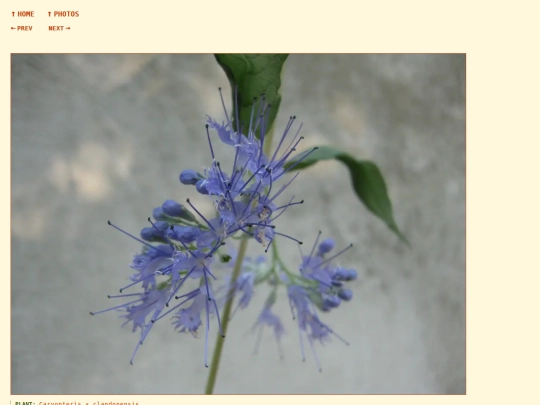 photos/260824171027 screenshot