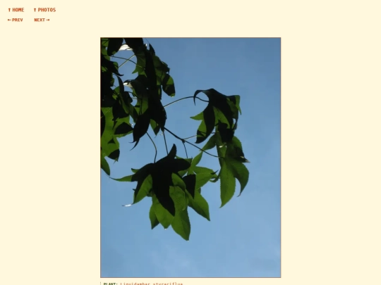 photos/260824171958 screenshot