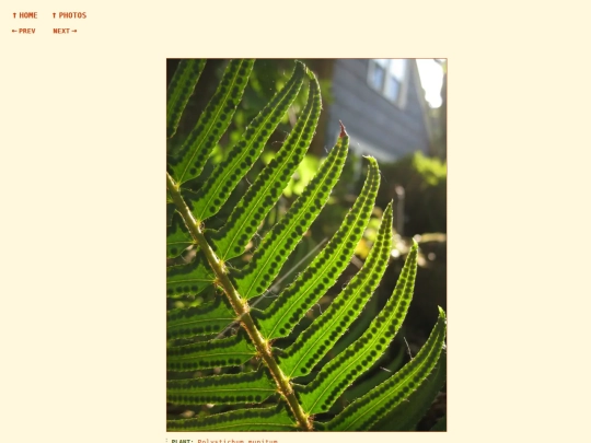 photos/260824172110 screenshot