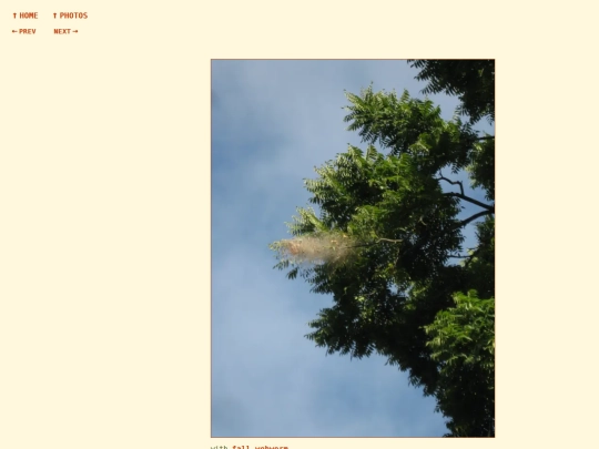 photos/260826090937 screenshot