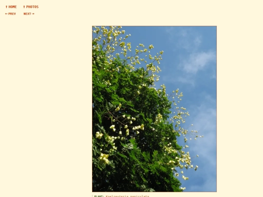 photos/260826091114 screenshot