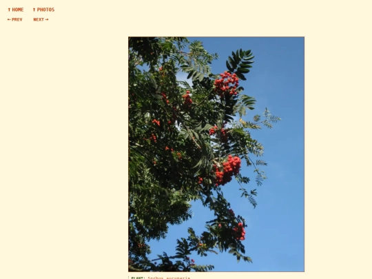 photos/260826091910 screenshot