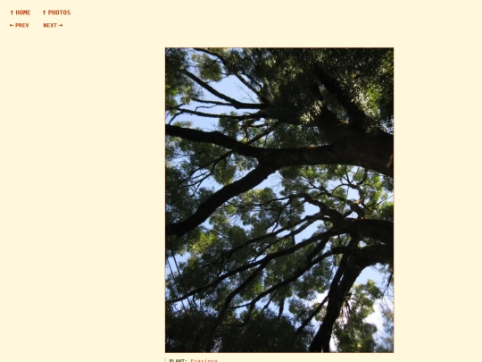 photos/260826092343 screenshot