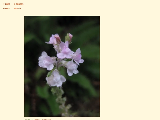 photos/260902181435 screenshot