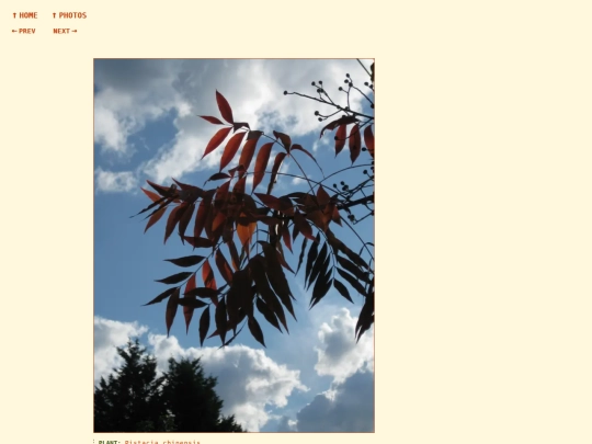 photos/260905173046 screenshot