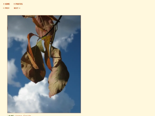 photos/260905173404 screenshot