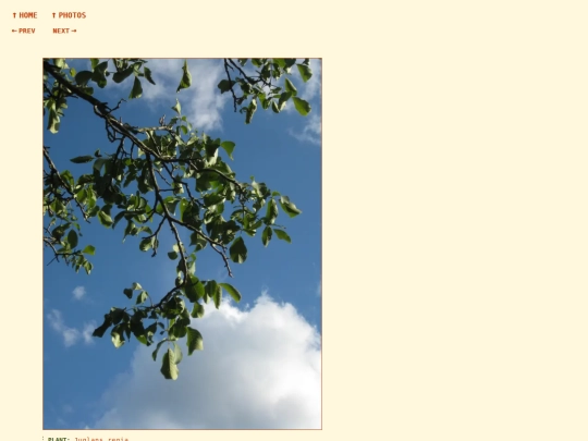 photos/260905173802 screenshot