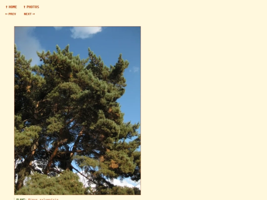 photos/260905173850 screenshot