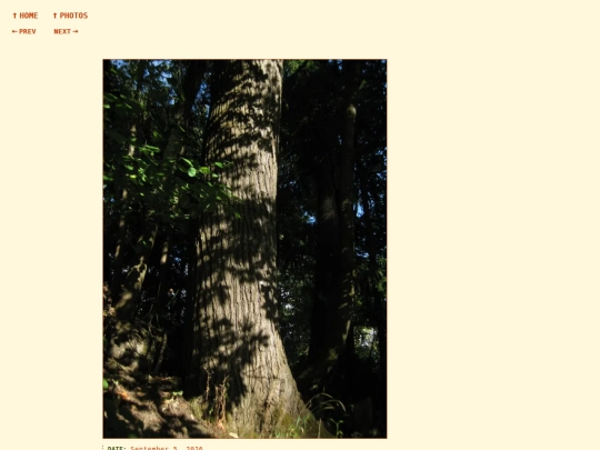 photos/260905174841 screenshot