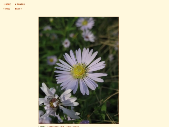 photos/260905181259 screenshot