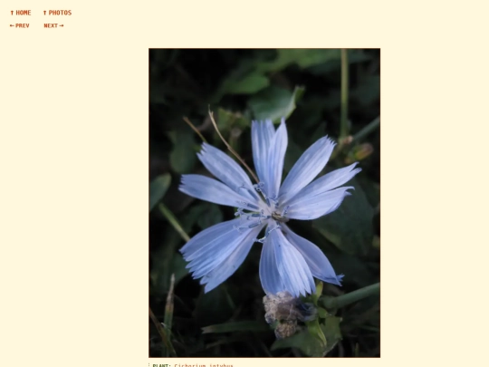 photos/260905183726 screenshot
