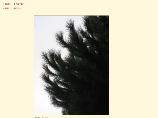 photos/260905193335 screenshot