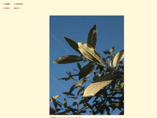 photos/260907181749 screenshot