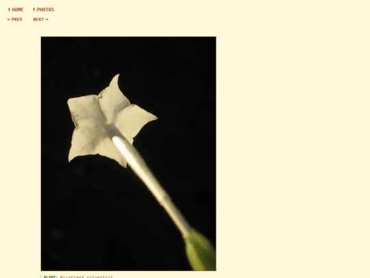 photos/260907184349 screenshot