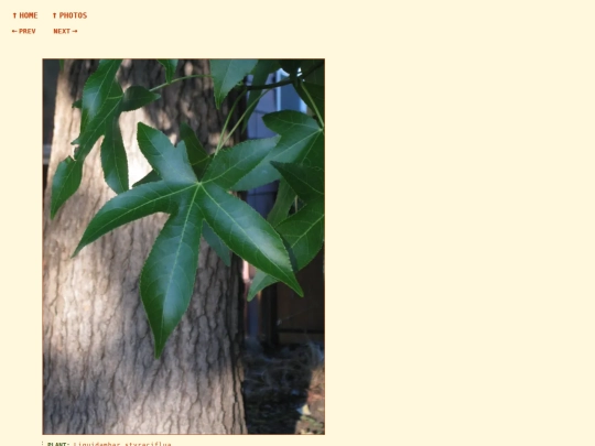 photos/260908182704 screenshot