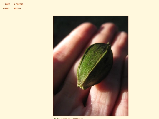 photos/260908184549 screenshot