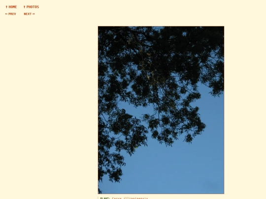 photos/260908184812 screenshot