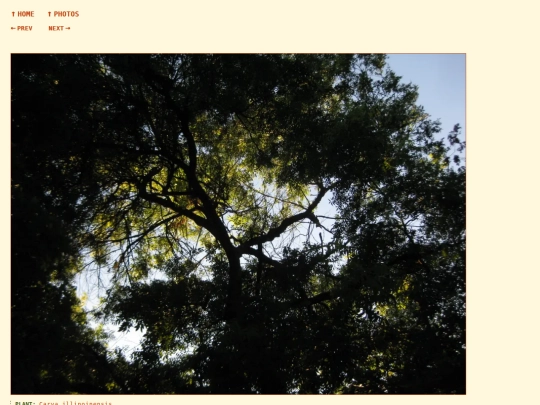 photos/260908185035 screenshot
