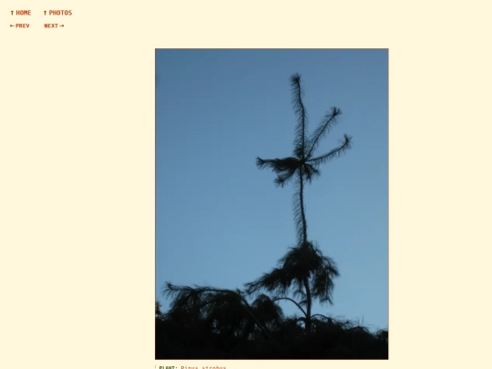 photos/260908185507 screenshot