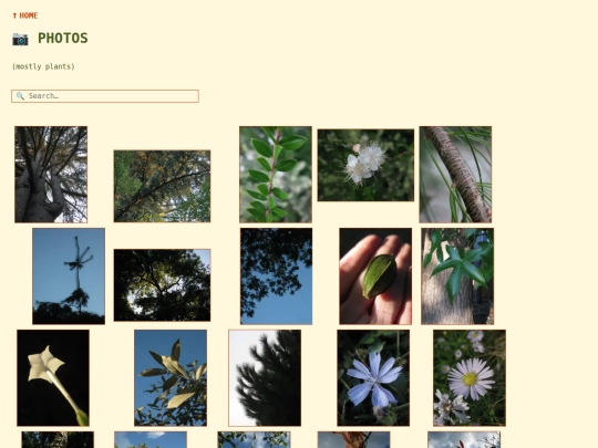 photos screenshot