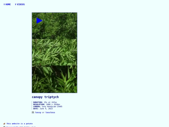videos/230605-canopy-triptych screenshot