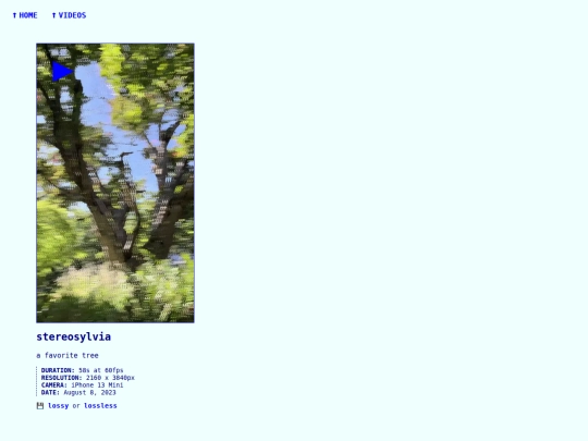 videos/230809-stereosylvia screenshot