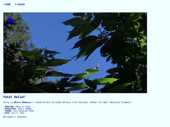 videos/240707-fatal-relief screenshot