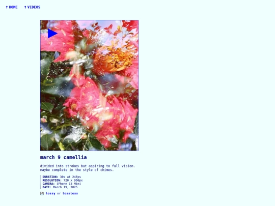 videos/250320-march-9-camellia screenshot