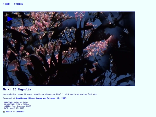videos/250426-march-25-magnolia screenshot
