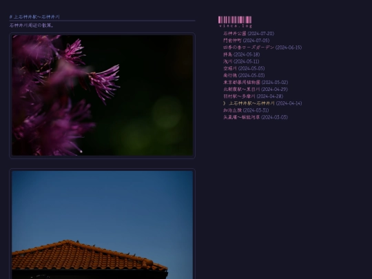 photo/stroll/shang-shi-shen-jing-yi-shi-shen-jing-chuan screenshot
