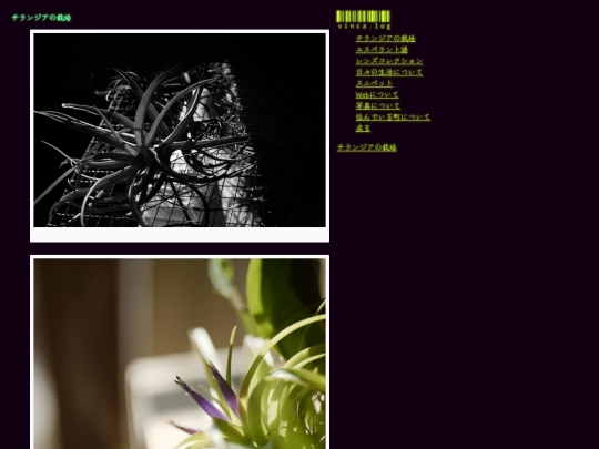 random-notes/tiranzianozai-pei screenshot