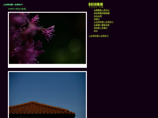 stroll/shang-shi-shen-jing-yi-shi-shen-jing-chuan screenshot