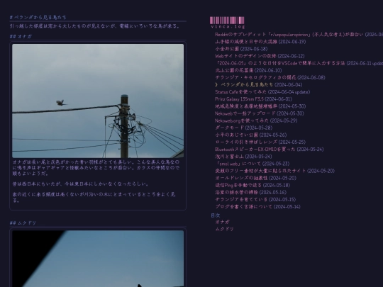 weblog/berandakarajian-runiao-tati screenshot