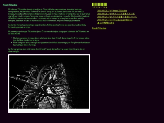 weblog/kreski-tillandsia screenshot