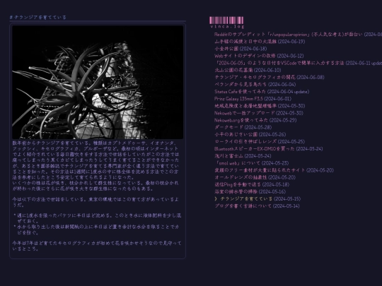 weblog/tiranziawoyu-teteiru screenshot
