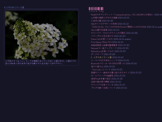 weblog/xiao-ping-noazisaigong-yuan screenshot
