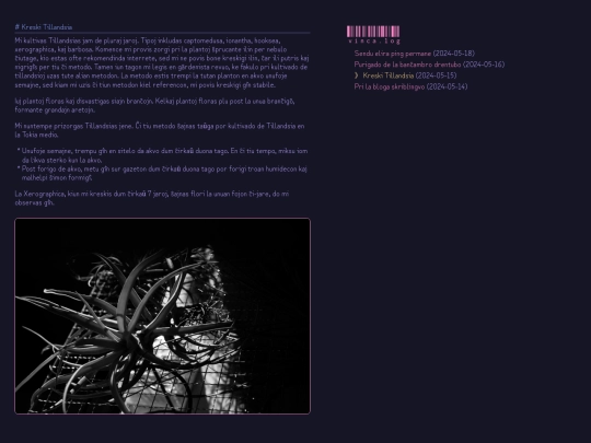 weblog_eo/kreski-tillandsia screenshot