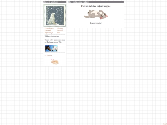 rejestracje screenshot
