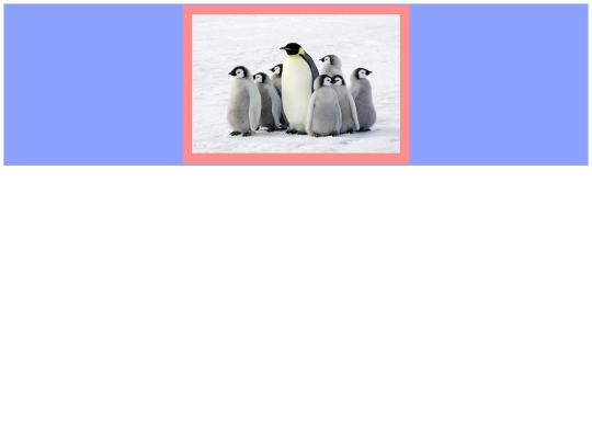 The Imitation Assignment/penguins screenshot