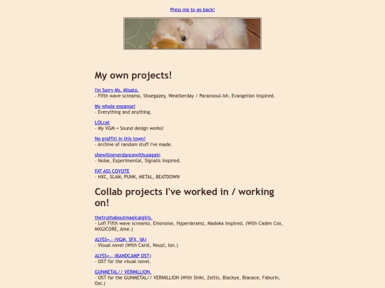 projects screenshot