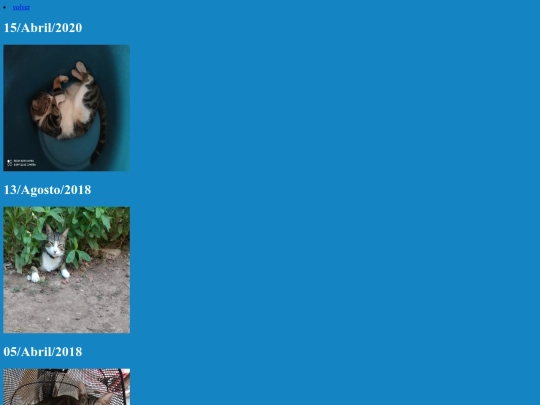 Katocities/foto screenshot
