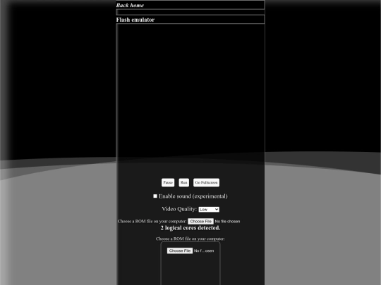 flash screenshot