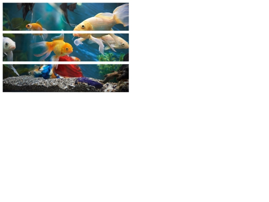 puzzle screenshot
