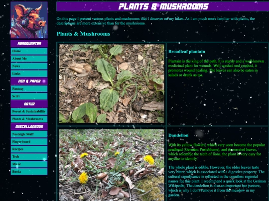 natur/pflanzen screenshot