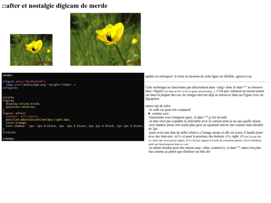 bordel/date-image screenshot