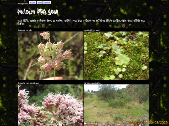 gallery/gallerie-2 screenshot