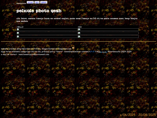 gallery/template screenshot