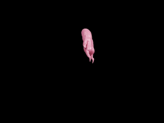 exxxtra screenshot