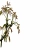 The web site of jovenpolillaglugluglu avatar